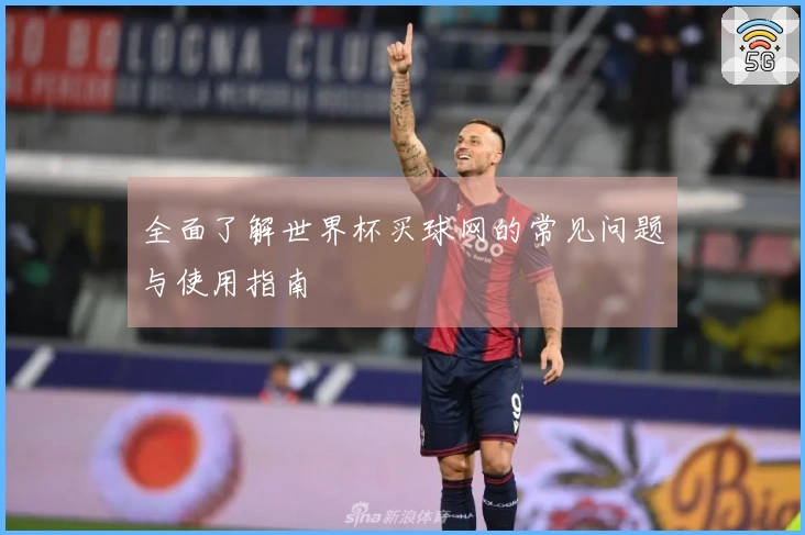全面了解世界杯买球网的常见问题与使用指南