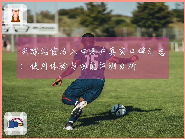 买球站官方入口用户真实口碑汇总：使用体验与功能评测分析
