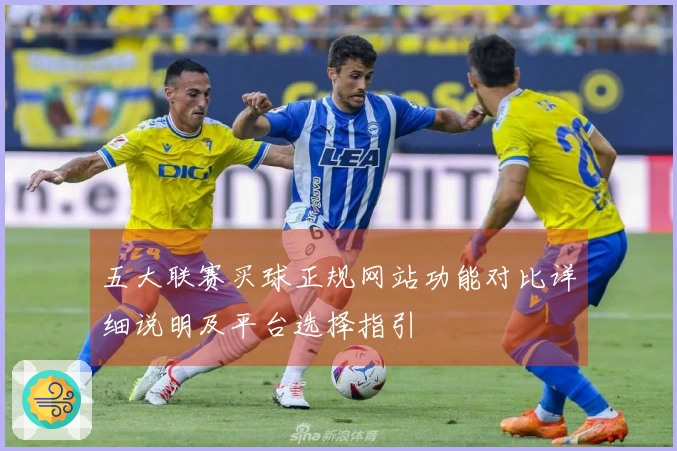 五大联赛买球正规网站功能对比详细说明及平台选择指引