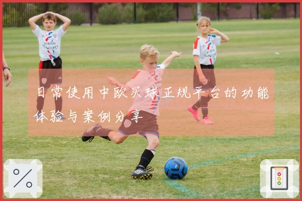 日常使用中欧买球正规平台的功能体验与案例分享
