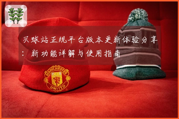 买球站正规平台版本更新体验分享：新功能详解与使用指南